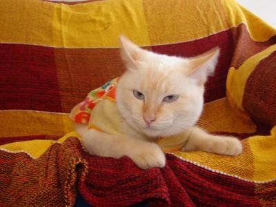 From the streets to my heart ... From the streets to my heart ...