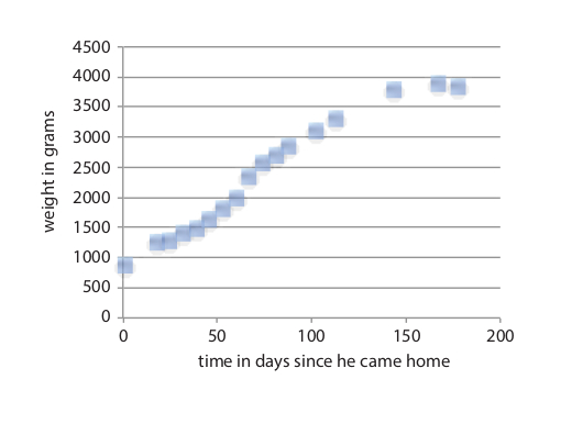 Mr. Leo's weight graph