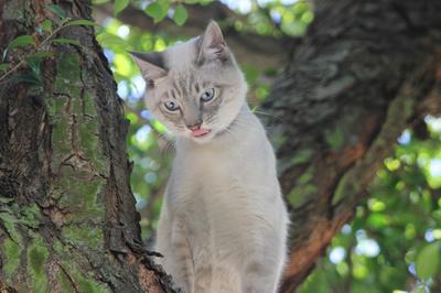 Seven months old and growing fast!