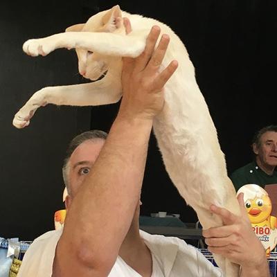 Grand Champion AimeeZoe Robin Rowntree