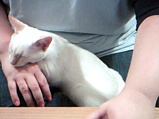 Only a few months old