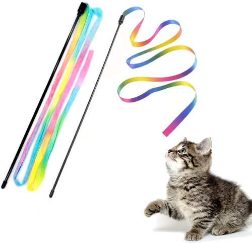 Kitten playing with interactive cat 'wand' toys with rainbow ribbon