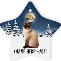 Seal point Siamese cat on a star-shaped tree decoration, with winter countryside background