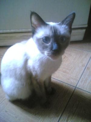 Beside the fridge asking for her lunch <3