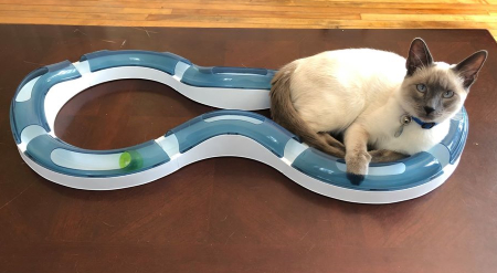 Siamese cat enjoying Catit Design Senses Super Roller Circuit toy