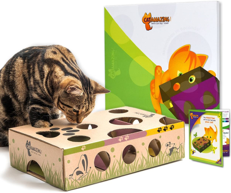 Tabby cat puzzling over the Cat Amazing Interactive Treat Maze & Puzzle Feeder