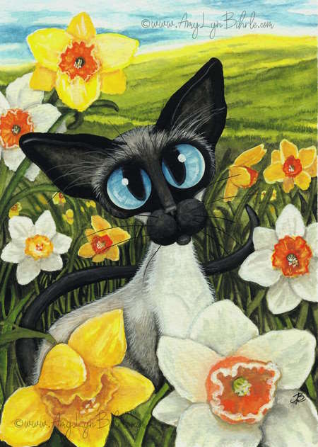 Siamese cat in a field of yellow and white daffodils and narcissi