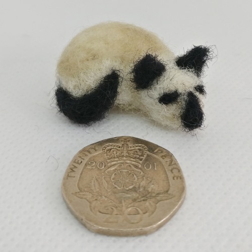 Miniature Siamese needle-felted cat shown next to a UK 20p piece for size.