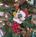 Siamese kitten in a Christmas stocking - tree decoration