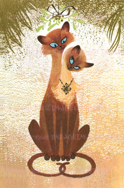 Two loving Siamese cats under the mistletoe