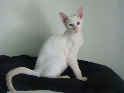 Sometimes, he sits still (like here) ... lol