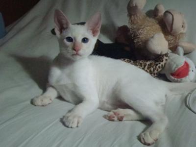 His eyes make me smile :)