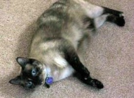 ... and on the floor