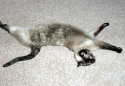 ... and BIG stretches!