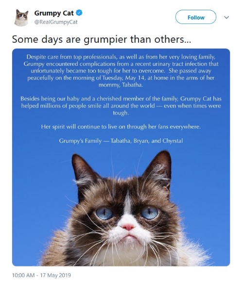 Farewell to Grumpy Cat Poster announcing the death of internet 'star', Snowshoe Grumpy Cat.