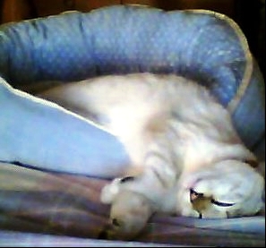 After a hard day's play