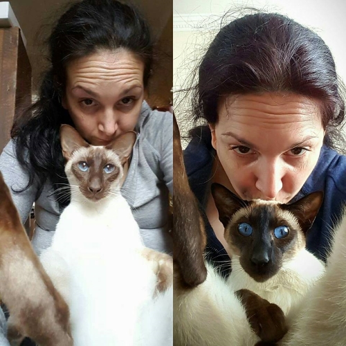 Siamese cat owner Jo McLaughlin with Siamese cats Ming and Fu
