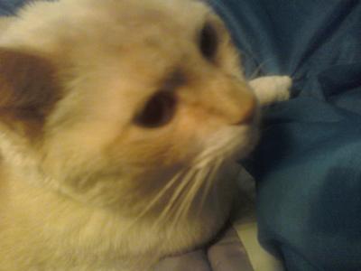 Julius, Momma will always love you. Here or not.