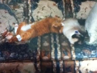 Mr Darcy and Mr Beckerby