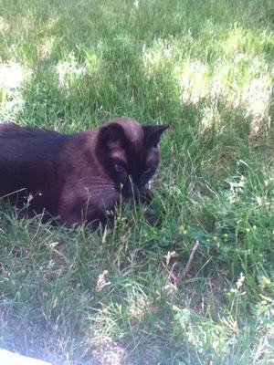 Enjoying the outdoors in his last days
