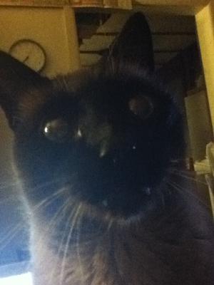 My favorite photo of Mr Darcy