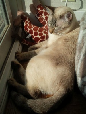 Enjoying the sunshine and the view