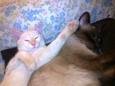 Mushito and Whimpy, best buddies