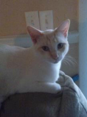 Chillin' on the couch