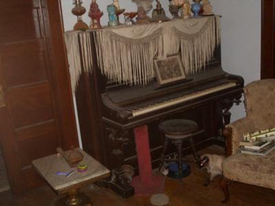 Chula, classic seal point (age 6)