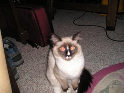 Yuuki as a young lady