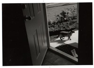 Officially outside, and thus on the prowl