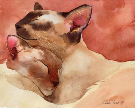 Sleeping seal and red point Siamese cats cuddled up together on a rust-colored background.