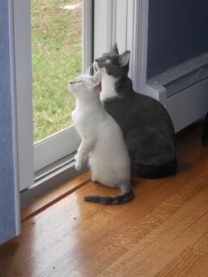 With his sister, Silverbelle