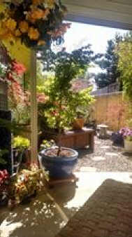 Spencer's Garden Catio Garden catio showing chain link fencing disguised by rush matting