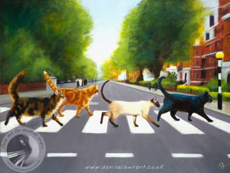 Black, ginger, Siamese and tortoiseshell cat crossing the road on a zebra crossing (homage to the Beatles Abbey Road album).