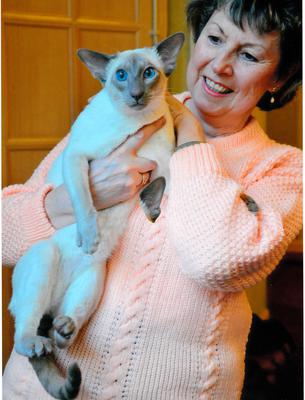 My beautiful stud boy