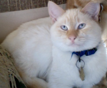 There's those beautiful blue eyes