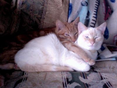 Willis with his brother, Bruce