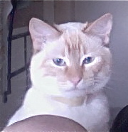 Such a handsome little guy