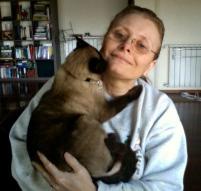 Siamese cat on shoulder