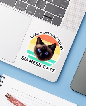 Siamese cat head on a striped background with text 'Easily Distracted by Siamese Cats' - sticker