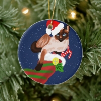 Siamese cat wearing a Santa hat lying on a Christmas stocking. Tree decoration with starry blue background.