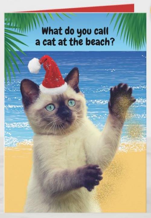 Siamese cat on a tropical beach with paws full of sand, wearing a Santa hat.